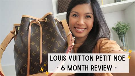 LOUIS VUITTON PETIT NOE: 6 MONTH REVIEW! Wear and .